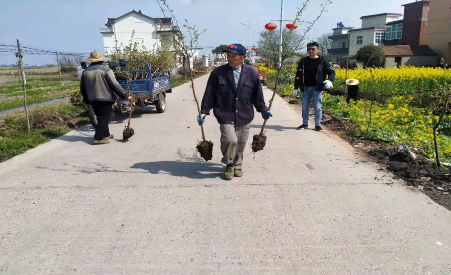 圖片8.png
