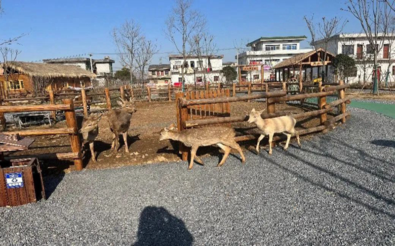圖片5.jpg