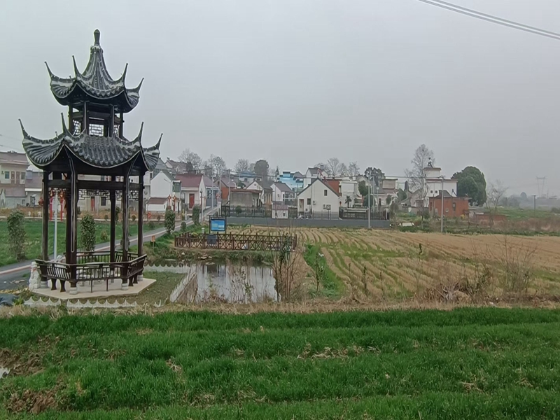 圖片1.png